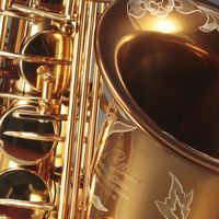 奏响十年之约：罗林斯免费保养与终身服务，见证你的成长