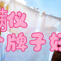 友望除螨仪是智商税吗？除螨仪推荐性价比高榜单前十名，宝妈必看