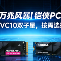 SSD万兆风暴!铠侠PCIe 5.0 VE10与VC10双子星，按需选择不踩坑!