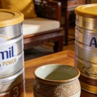 免疫强的蛋白粉哪个品牌好？2026年3月蛋白粉十大排名精选实测