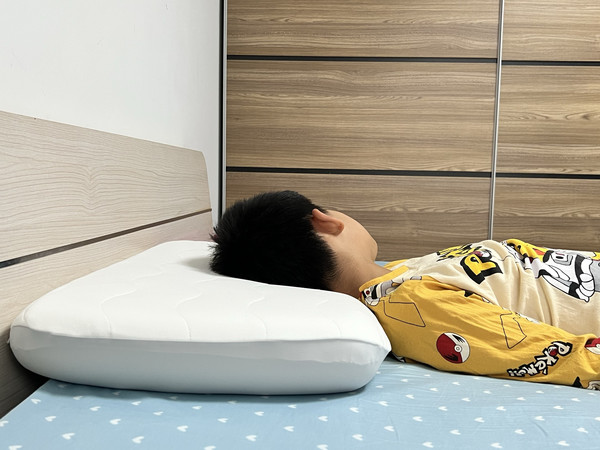 选枕头就图个舒服踏实