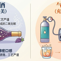 泡泡里的学问：深度拆解“起泡酒”与“气泡酒”的博弈