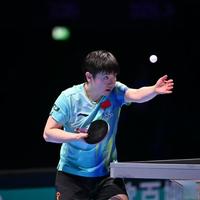 巅峰对决将至！2026澳门世界杯淘汰赛签表出炉，国乒群星集结，冲冠之路全解析