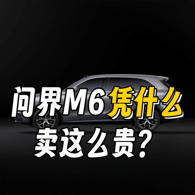 小康飘了？问界M6咋这么贵！- 快速指南21