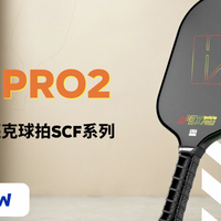 进阶玩家如何挑选热压碳纤维匹克球拍？