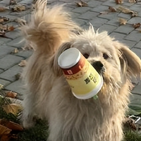 关爱流浪狗！营养满满的救助狗粮推荐！