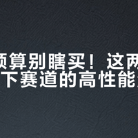 30万预算别瞎买！这两款才是真能下赛道的高性能量产车