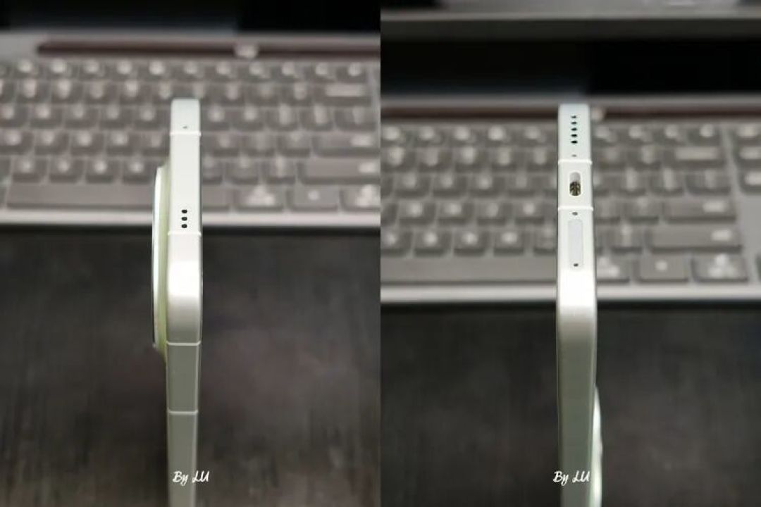 图源：不客观实验室