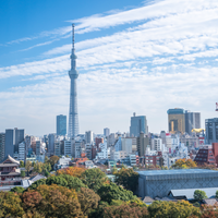 5天4晚日本游，选高效打卡东京还是慢行深度九州？答案和你想的不一样