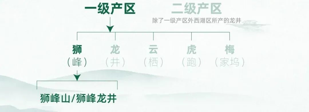 一万一斤?西湖龙井凭什么这么贵!