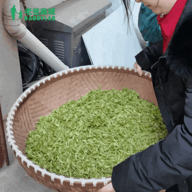 一万一斤?西湖龙井凭什么这么贵!