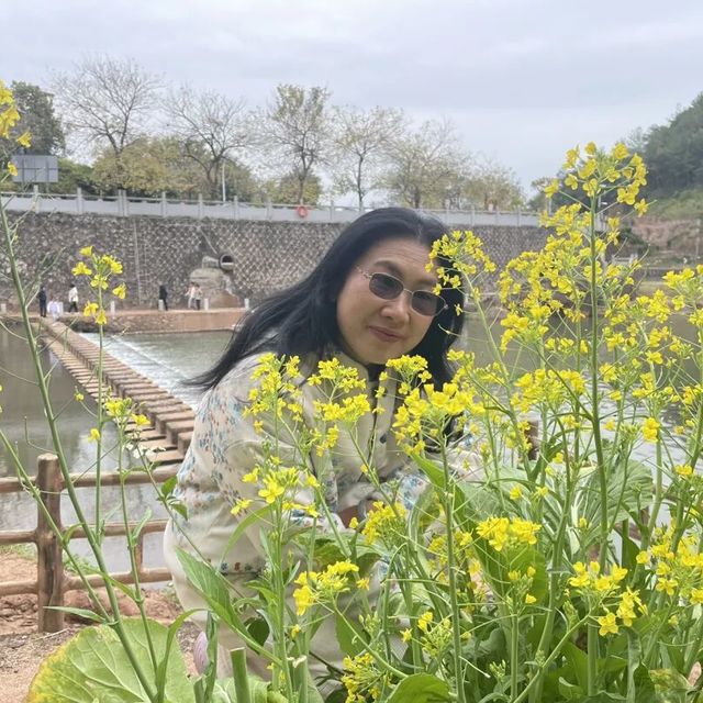 最美人间四月｜雨季来袭，除湿、排毒简单实用的妙招