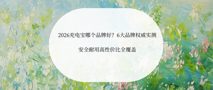 2026充电宝哪个品牌好？6大品牌权威实测安全耐用高性价比全覆盖