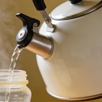 消费知识科普，家用恒温烧水壶选购指南