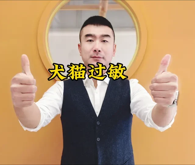 犬猫过敏的病理机制与临床诊疗指南