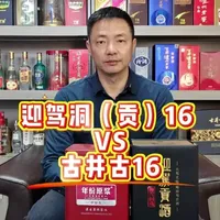迎驾洞藏16与古井古16白酒对比评测