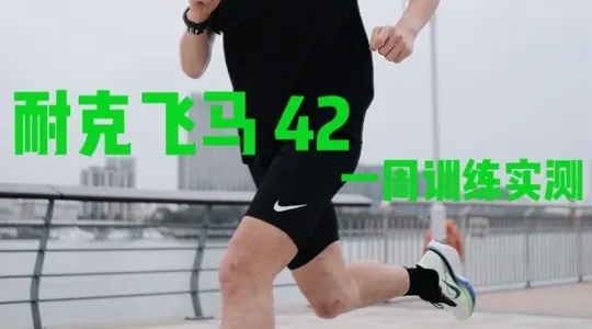 飞马42全周实测：全马力气垫能否覆盖所有训练场景？