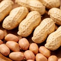 心脏与花生的关系，医生：想要保护心脏健康，尽量少吃这3种坚果