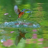 摄影技巧 | 如何运用对比突出主体？