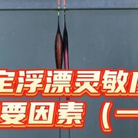 新手课堂38：决定浮漂灵敏度的主要因素（一）
