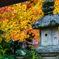 电视品牌 篇零：2026年音响电视选什么牌子？实测精选4款音质好的电视推荐给你！