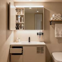 5㎡卫生间塞下50+件物品？东京主妇的“隐形收纳法”绝了！