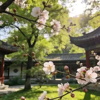 北京4月赏花｜5处全新私藏地 人少不撞款