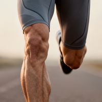 跑完5公里不酸不累？新手闭眼入的科学恢复指南，后悔没早看！