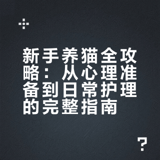 新手养猫全攻略：从心理准备到日常护理的完整指南