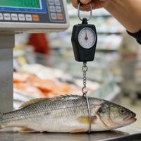 网购避坑指南：理性消费不踩雷