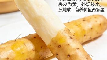 四种山药品种对比：从菜山药到垆土铁棍山药的特征解析