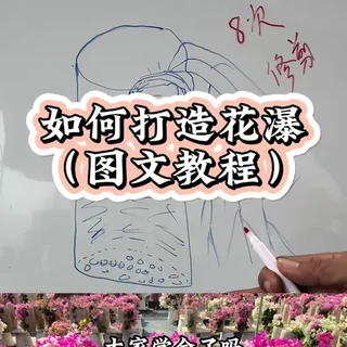 三角梅花瀑养成指南：从选品到修剪全流程解析