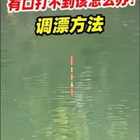 带钩调一目钓二三目：一种高效的鲤鱼调漂方法解析