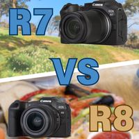 “鸡头凤尾之争”佳能R7和R8全方位对比❗
