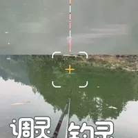 “调灵钓灵”调漂全流程：冬钓轻口鱼实用指南