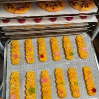 宠物零食烘焙教程！几百款配方任选，无添加