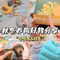 秋冬小型犬养护指南：保暖、肠胃与皮肤护理全攻略