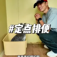 狗狗定点排便训练全流程：从禁忌到实操的系统性指南