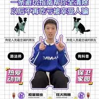 新手养狗避坑指南：医疗、喂养、训练与病症处理全解析