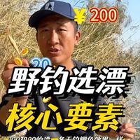 浮漂价格与性能关系解析及选漂三要素