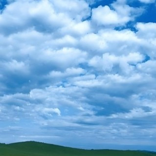 喜宴用酒怎么选？高性价酒水实测，白酒不是唯一主角，还有低度酒