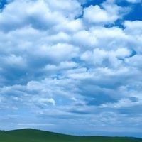 喜宴用酒怎么选？高性价酒水实测，白酒不是唯一主角，还有低度酒