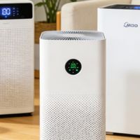 空气净化器排名前十的品牌出炉：热销品牌数据分析，哪个牌子好