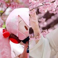 穿cos服扎樱花林,我的春日治愈是“二次元撞进现实”~