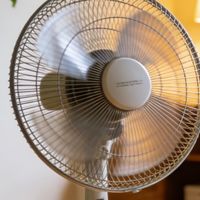 电风扇哪个品牌质量好？性能稳定耐用，实用不踩雷品牌前十名！