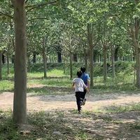 露营野餐的乐趣,你知道多少