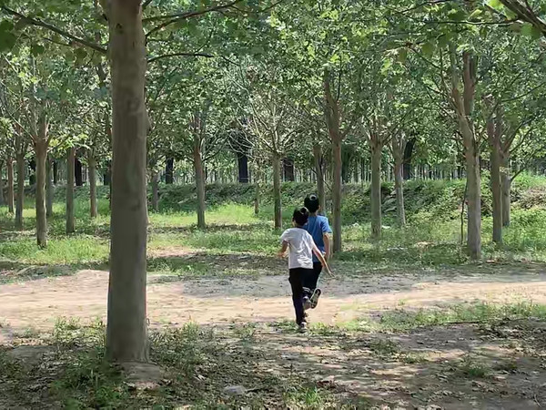 露营野餐的乐趣，你知道多少