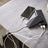 “史上最严”新国标出台 充电宝选购使用指南（最新版）→