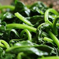 清明前后吃马兰头，17种氨基酸加持，四大功效护健康