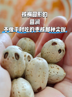 大名鼎鼎的酸枣原来是这个样子的，吃完还可以变成手串?！